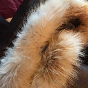 Pellepelle leather jacket